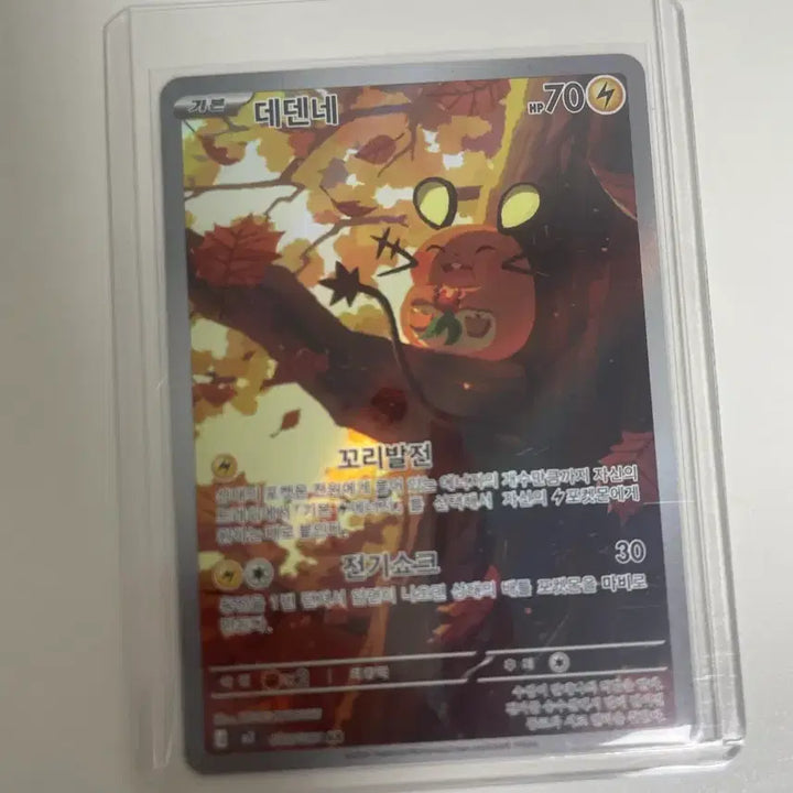 [BUNJANG] Pokemon Card Dedenne AR Card / 포켓몬 카드 데덴네 AR