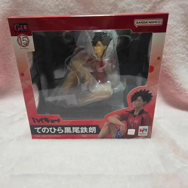 [BUNJANG] Haikyuu Tenohira Tetsuro Kuroo Figure / 하이큐 테노히라 쿠로오 피규어