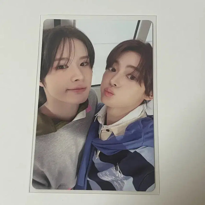 [BUNJANG] TWS NO TRAGEDY Unit Photocard / 투어스 NO TRAGEDY 유닛 포카 양도