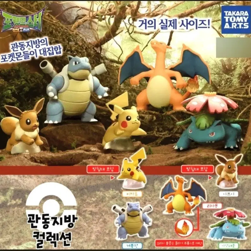 [BUNJANG] Takara Tomy Pokemon Kanto Figure Collection / 타카라토미 포켓몬스터 관동 피규어 컬렉션