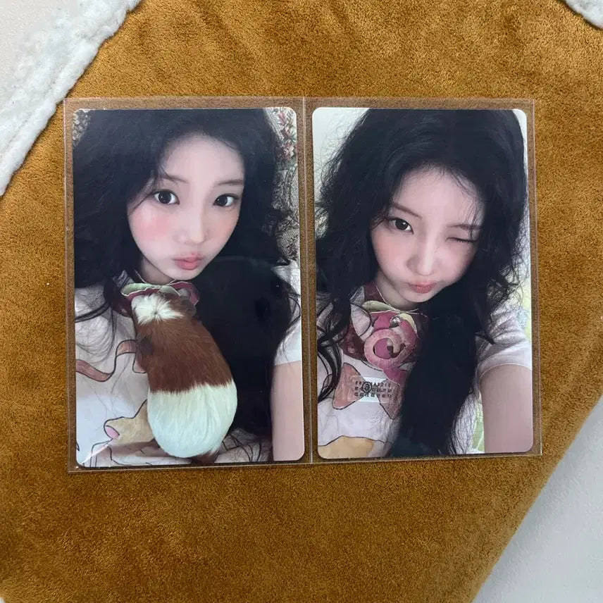 [BUNJANG] ILLIT Mamihopinatapai Wonhee Photocard Bundle Set / 아일릿 MAMIHLAPINATAPAI paw paw 원희 포카 앨포 일괄