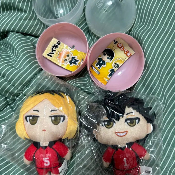 [BUNJANG] Haikyuu!! Nekoma Kenma &amp; Kuroo Plush Set / 새상품 하이큐 네코마 켄마&amp;쿠로오 누이 세트
