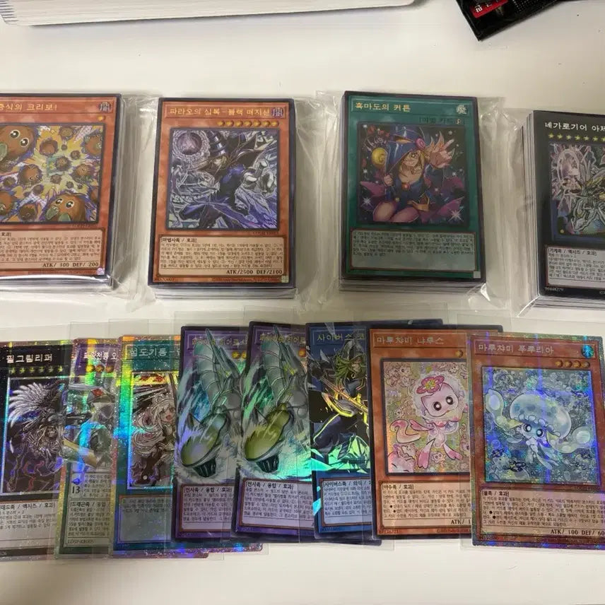 [BUNJANG] Yu-Gi-Oh! Leo Collection Bundle Set / 유희왕 리오컬 일괄