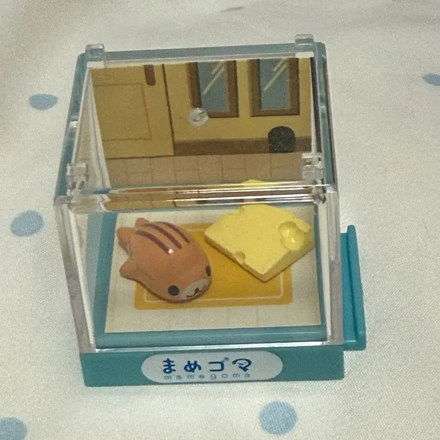 [BUNJANG] Mamegoma Mamegomarium Shimagoma Eraser / 마메고마 마메고마리움 시마고마