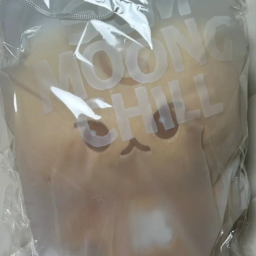 [BUNJANG] BIGBANG Seungri Doll / 빅뭉칠 도궁빵