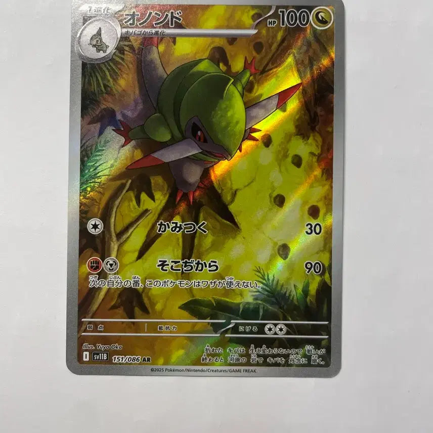 [BUNJANG] Pokemon Card Axew AR Japanese / 포켓몬 카드 액슨도 ar 일판