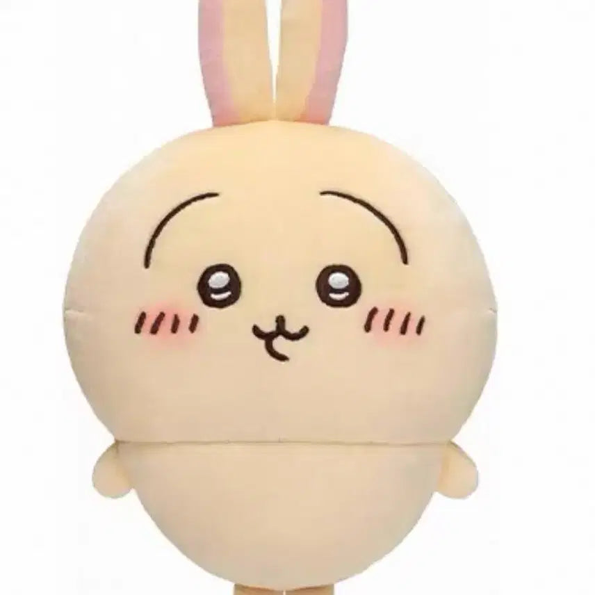[BUNJANG] Monjyakui Usagi "My Favorite Rabbit" Plush Doll / 먼작귀 우사기 인형 양도