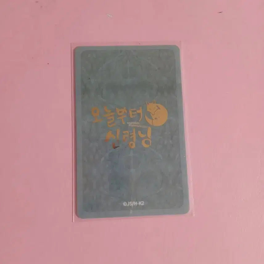 [BUNJANG] Kamisama Kiss Mizuki Photocard / 오늘부터 신령님 미즈키