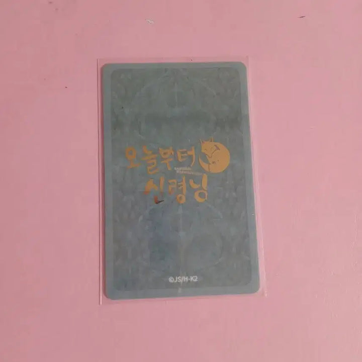 [BUNJANG] Kamisama Kiss Mizuki Photocard / 오늘부터 신령님 미즈키