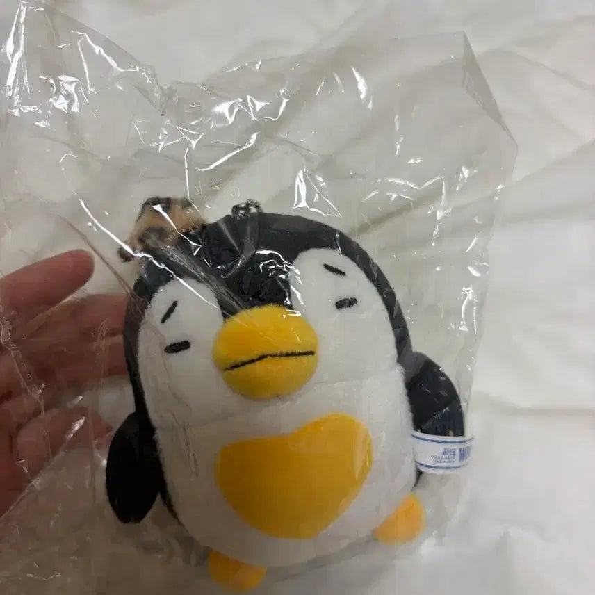 [BUNJANG] 2PM Junho "Pengpengi" Keyring (Sealed) / 준호 펭펭이 키링 미개봉