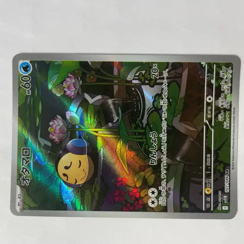 [BUNJANG] Pokemon Card Domcheni AR Japanese / 포켓몬 카드 동챙이 AR 일판