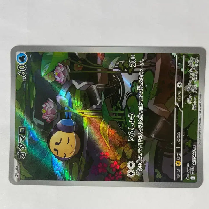 [BUNJANG] Pokemon Card Domcheni AR Japanese / 포켓몬 카드 동챙이 AR 일판