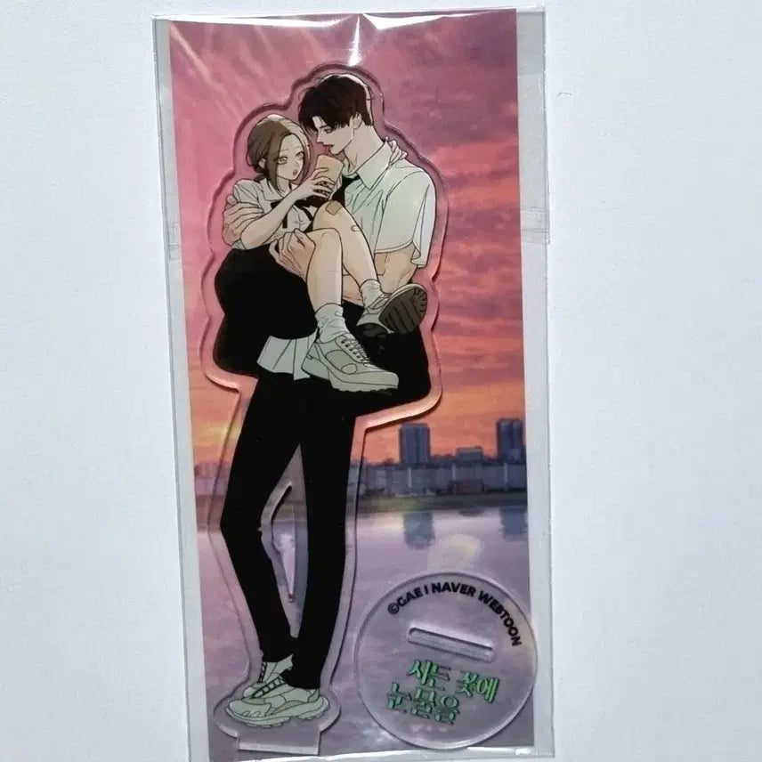 [BUNJANG] Sikyeon Kkot-e Nunmul-eul Acrylic Sealed / 시든 꽃에 눈물을 아크릴 미개봉