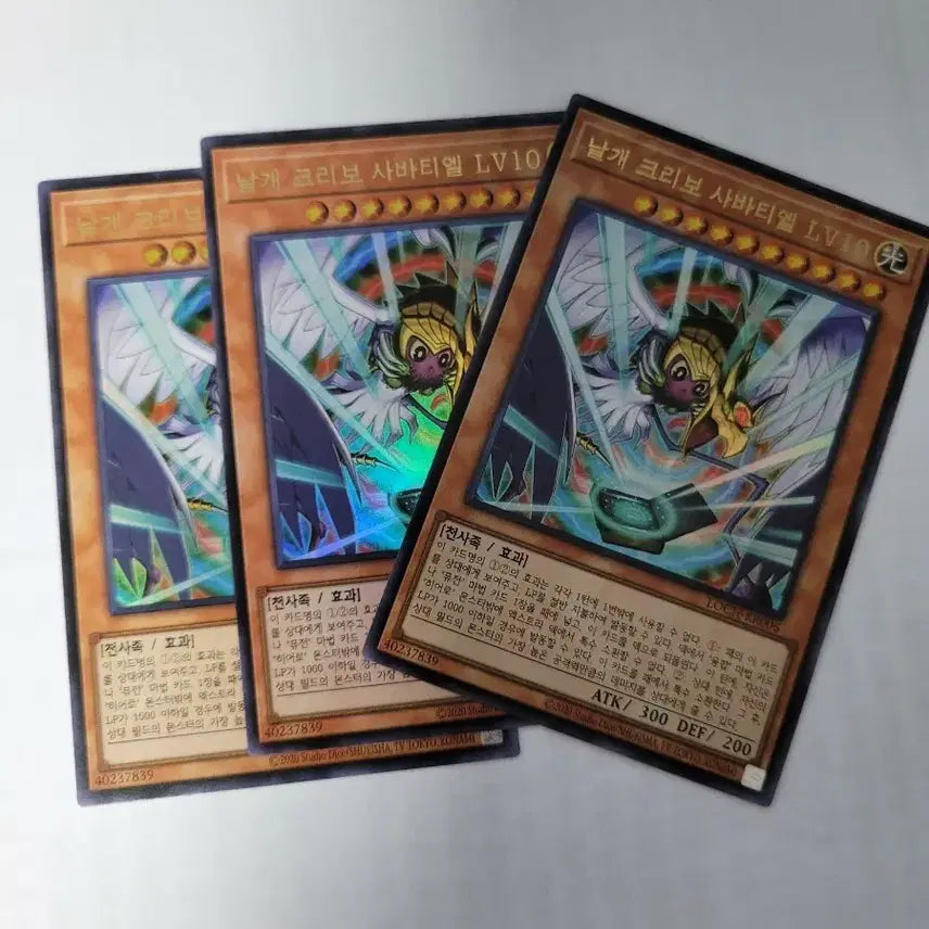 [BUNJANG] Yu-Gi-Oh! Winged Kuriboh Sabathiel LV10 Bundle Set / 유희왕 날개 크리보 사바티엘 LV10 일괄