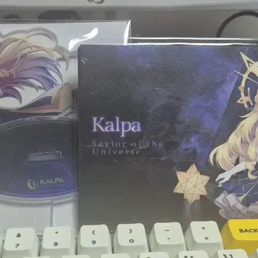 [BUNJANG] Kalpa PC PIN Funding Limited Goods / 칼파(kalpa)pc핀 펀딩 한정 굿즈 판매합니다