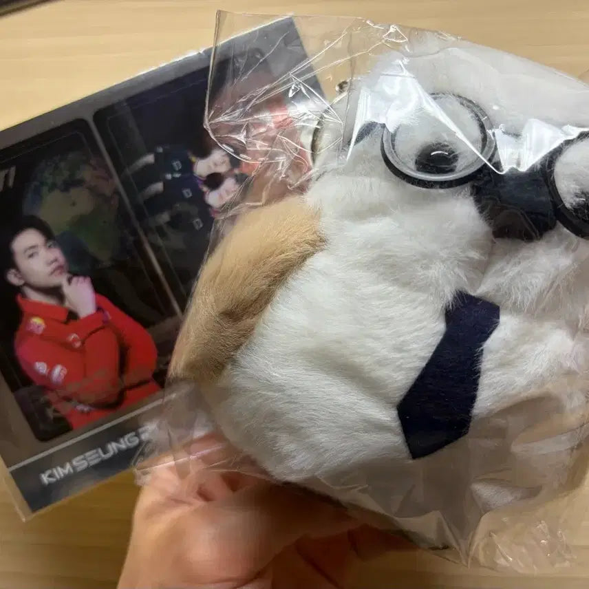 [BUNJANG] Kim Seungri KBS Baepsae Big Plush Keyring + Sticker Photo / 김승리T KBS 뱁새 빅 인형 키링 + 스티커 사진
