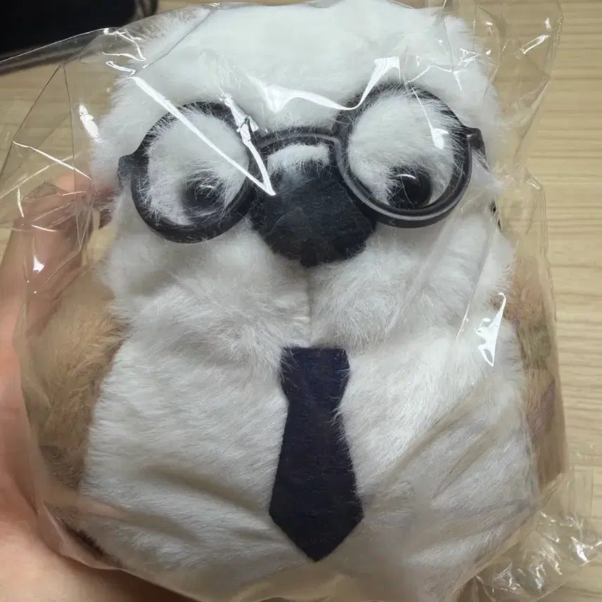 [BUNJANG] Kim Seungri KBS Baepsae Big Plush Keyring + Sticker Photo / 김승리T KBS 뱁새 빅 인형 키링 + 스티커 사진