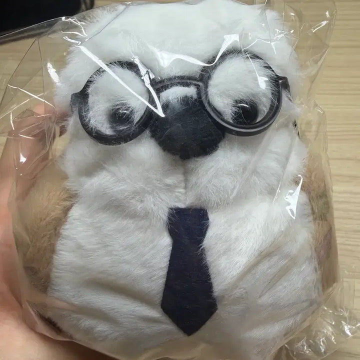 [BUNJANG] Kim Seungri KBS Baepsae Big Plush Keyring + Sticker Photo / 김승리T KBS 뱁새 빅 인형 키링 + 스티커 사진