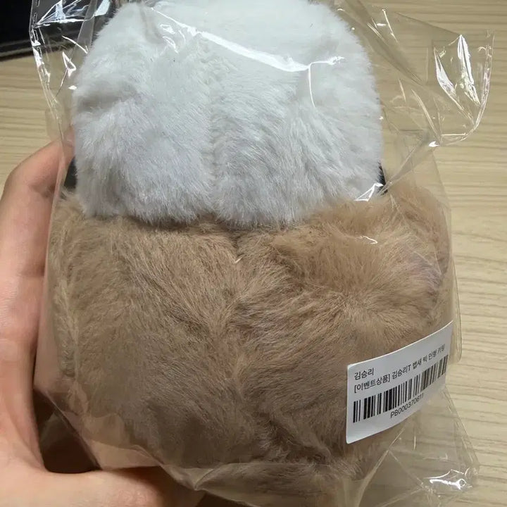 [BUNJANG] Kim Seungri KBS Baepsae Big Plush Keyring + Sticker Photo / 김승리T KBS 뱁새 빅 인형 키링 + 스티커 사진