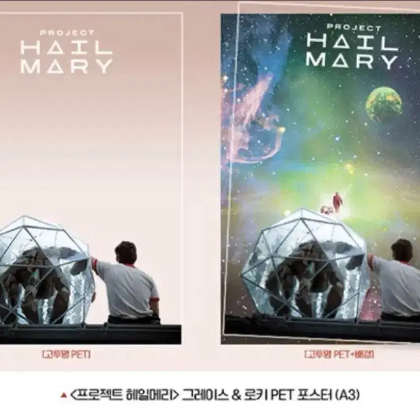 [BUNJANG] Hail Mary PET Poster / <최저가> 헤일메리 pet 펫포스터