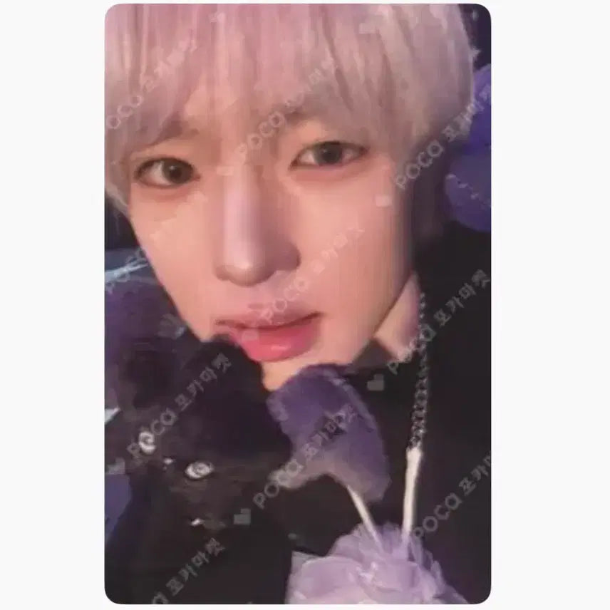 [BUNJANG] NCT WISH Sakuya WISH-U Antares Version Photocard / 엔시티 위시 사쿠야 위츄 아츄 안테로스 버전 포카 팔아요