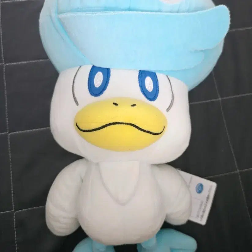 [BUNJANG] Pokemon Quaxly Plush Toy / 일본 정품 포켓몬스터 꾸왁스 인형 새상품 판매합니다.