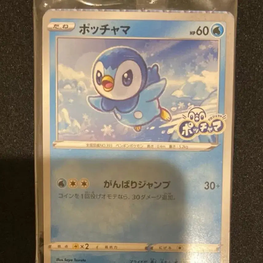 [BUNJANG] Pokemon Piplup Promo Card / 포켓몬카드 팽도리 프로모