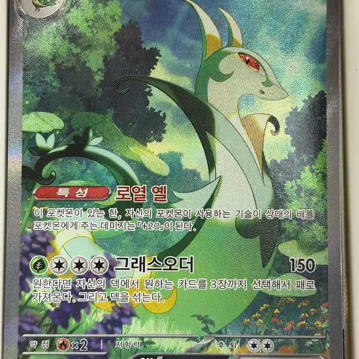 [BUNJANG] Pokemon Card Serperior SAR (Black Tormentor) / 포켓몬카드 샤로다 SAR