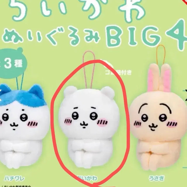 [BUNJANG] Chiikawa Big 4 Sitting Mascot Plush Keychain / 먼작귀 치이카와 빅4 앉아있는 마스코트 누이 가챠 인형키링