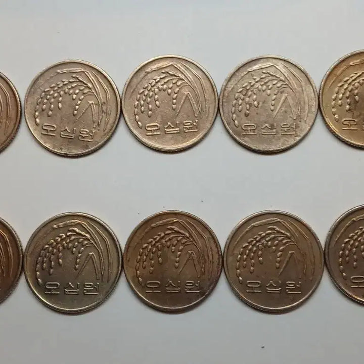 [BUNJANG] 1995 50 Won Coin Bundle (10 pcs) / 1995년 50원 동전 10개 일괄