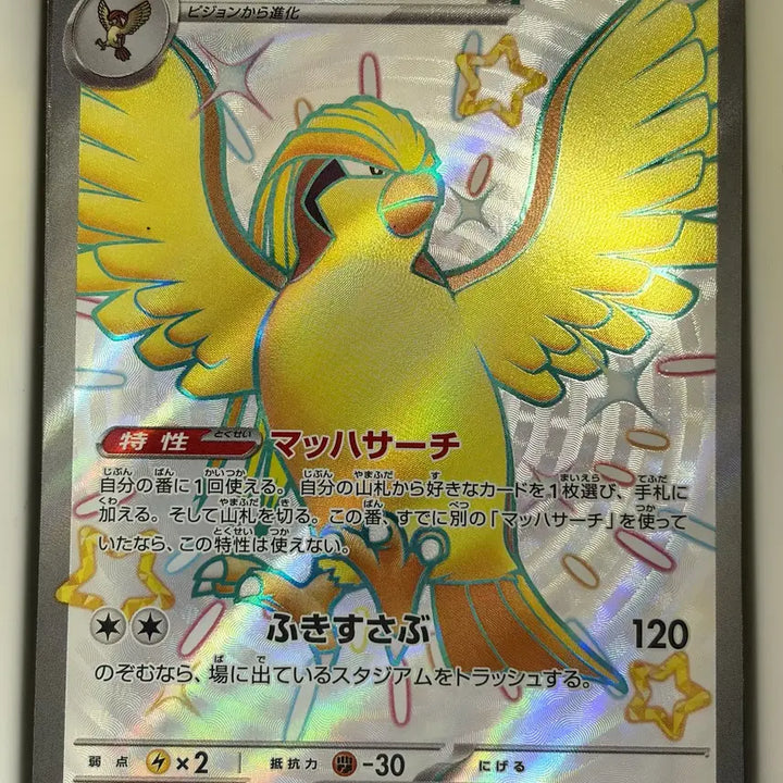 [BUNJANG] Pokemon Card Pidgeot SSR Japanese / 포켓몬카드 피죤투 SSR 일판