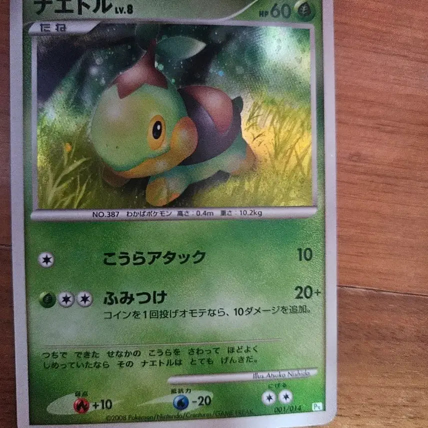 [BUNJANG] Pokemon TCG Turtwig Japanese Common Card / 포켓몬스터 모부기카드 일판