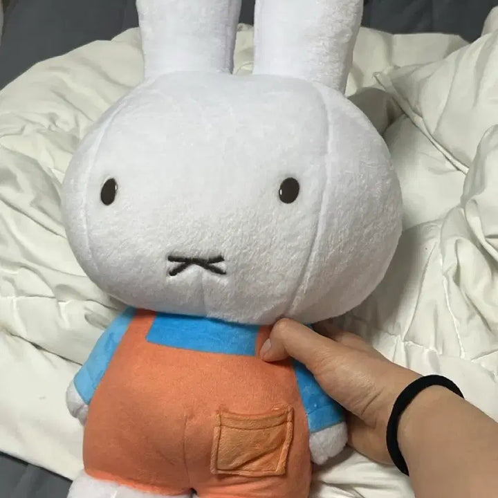 [BUNJANG] Ichiban Kuji Miffy Plush Toy / 제일복권 a상 미피 인형