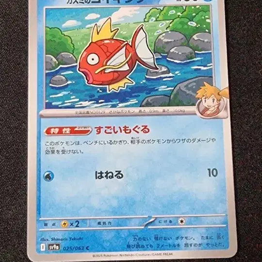 [BUNJANG] Gyarados Plush / 일판 잉어킹