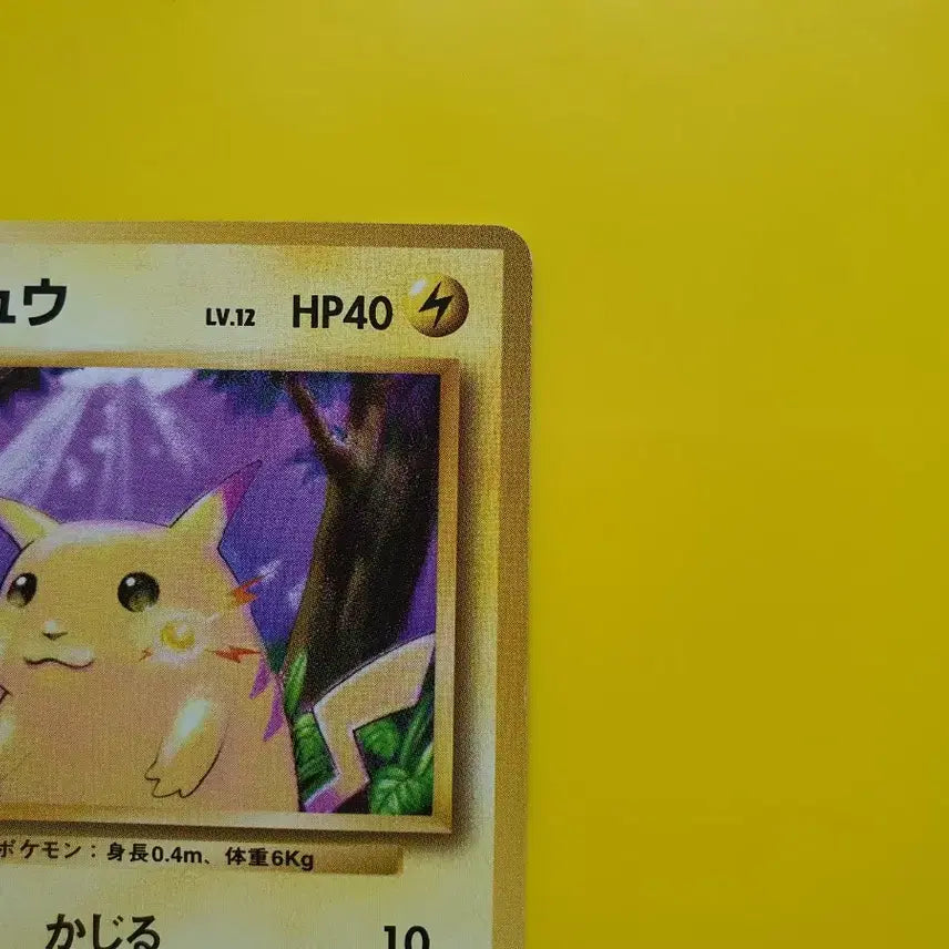[BUNJANG] Pokemon Card 1996 Pikachu 1st Edition Japanese Ultra Rare / 포켓몬카드 1996 큰 피카츄 초판 일판 일본판 5 극미품