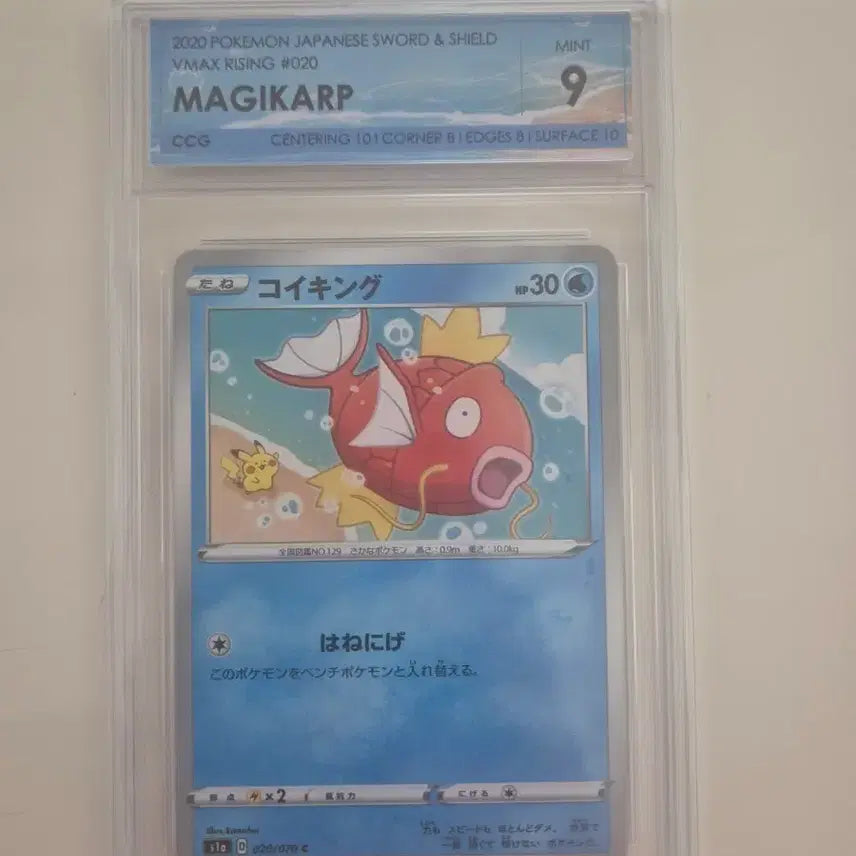 [BUNJANG] Kanahei Magikarp Graded Pokemon Card (Grade 9) / 포켓몬 카드 카나헤이 잉어킹 9등급