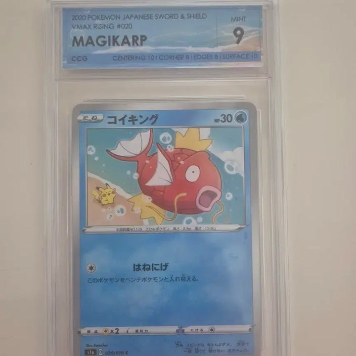 [BUNJANG] Kanahei Magikarp Graded Pokemon Card (Grade 9) / 포켓몬 카드 카나헤이 잉어킹 9등급