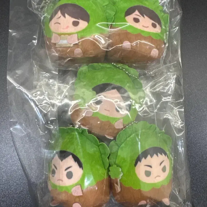 [BUNJANG] Haikyu!! Aoba Johsai Tenorizu Plush (Includes POB) / (5/22일까지만 위 가격) 하이큐 테노린즈 아오바조사이 (특전 포함)