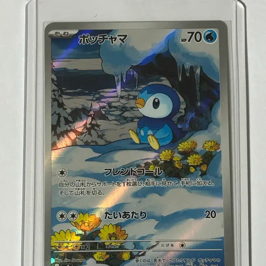 [BUNJANG] Pokemon Card Piplup AR / 포켓몬 카드 팽도리 AR
