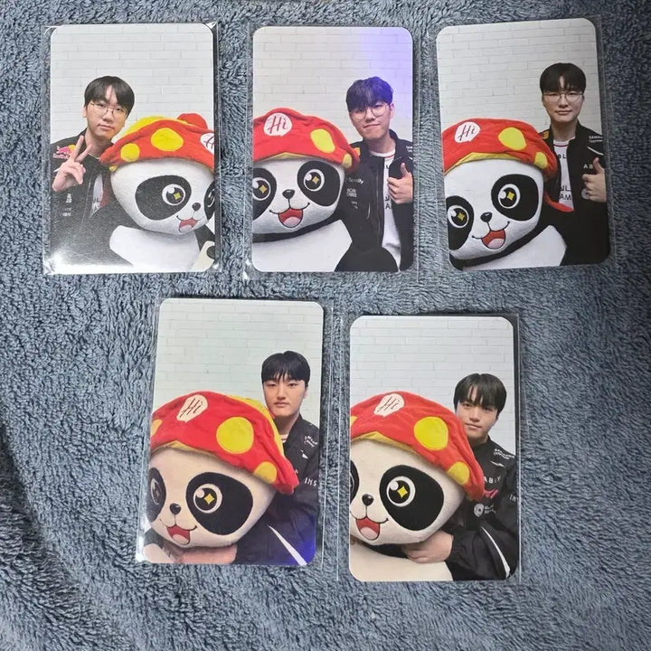 [BUNJANG] T1 Dofpk 5-Member Set Haidilao New Photocard / T1 티원 도오페페케 5인 set 하이디라오 new 랜덤 포카 드래곤볼