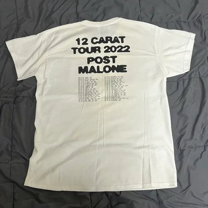 [BUNJANG] Post Malone 2022 World Tour T-Shirt L / 포스트 말론 2022 월드 투어 굿즈 티셔츠 L