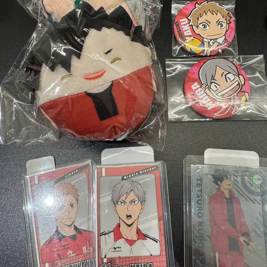 [BUNJANG] Haikyu!! Nekoma High School Goods Bundle Set / 하이큐 네코마 고교 굿즈 일괄!