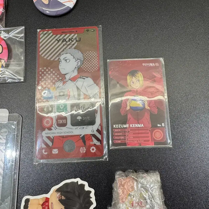 [BUNJANG] Haikyu!! Nekoma High School Goods Bundle Set / 하이큐 네코마 고교 굿즈 일괄!