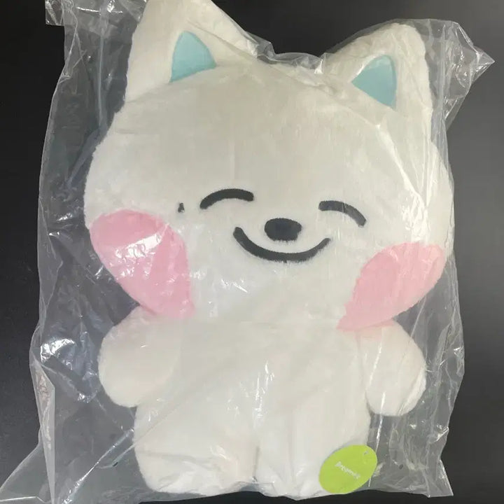 [BUNJANG] NCT Dream Line Friends Jeno Jjed Big Flat Cushion (Sealed) / 엔시티드림 라인프렌즈 제노 쪠드 쩨드 대왕 쿠션 미개봉 jjed