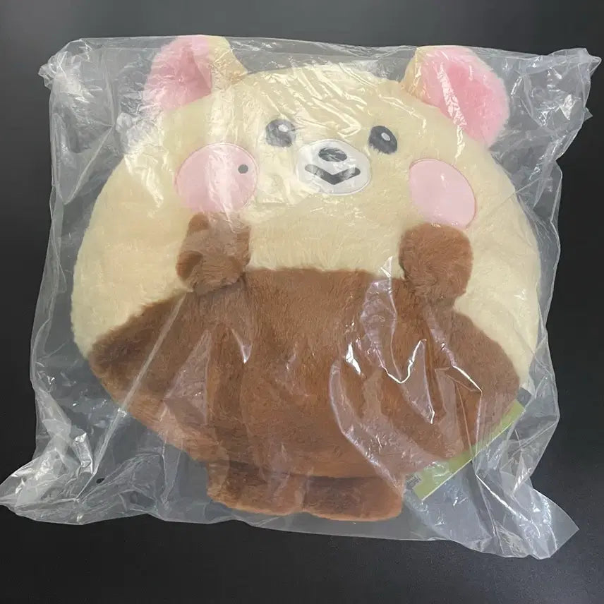 [BUNJANG] NCT DREAM Jisung "Bambam" Big Flat Cushion (Sealed) / 엔시티드림 라인프렌즈 지성 밤찌 대왕 쿠션 미개봉
