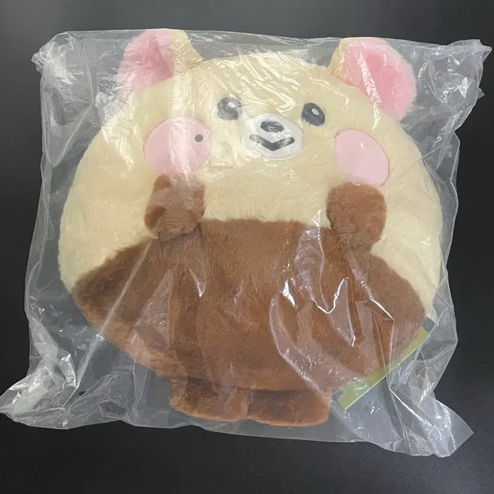 [BUNJANG] NCT DREAM Jisung "Bambam" Big Flat Cushion (Sealed) / 엔시티드림 라인프렌즈 지성 밤찌 대왕 쿠션 미개봉