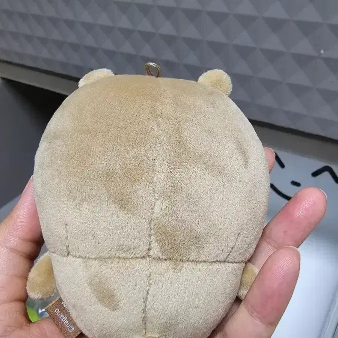 [BUNJANG] Nagano Official Tanning Joke Bear Plush / *나가노 정품) 태닝곰 농담곰 갈색곰