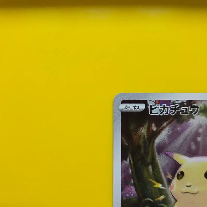 [BUNJANG] Pokemon Card 25th Anniversary Jungle Pikachu (Japanese) / 포켓몬카드 s급 25주년 애니버서리 정글 큰피카츄 일판