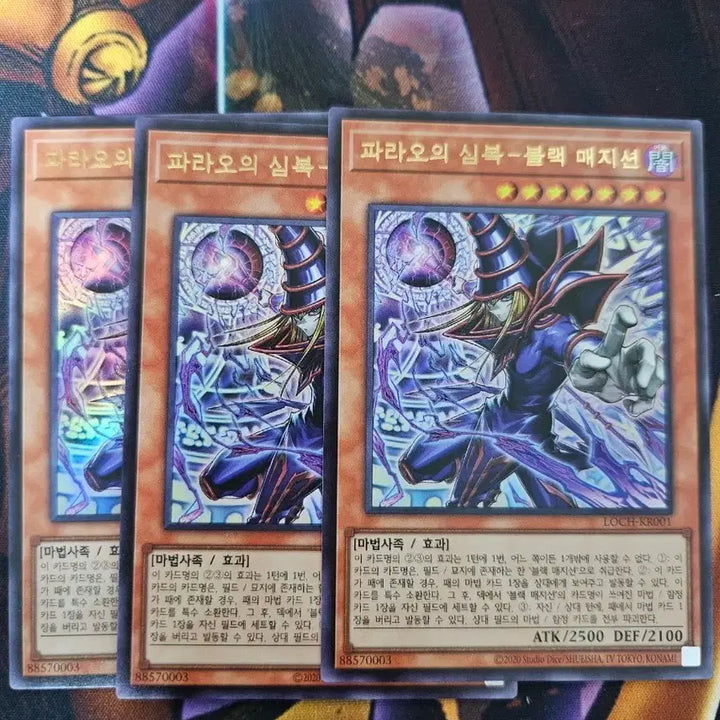 [BUNJANG] Yu-Gi-Oh! Dark Magician of Chaos Bundle Set / 유희왕 파라오의 심복 블랙 매지션 일괄