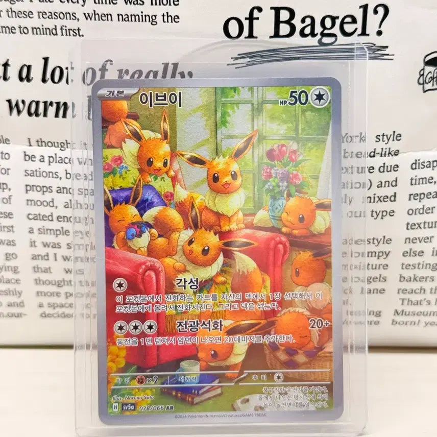 [BUNJANG] Pokemon Eevee AR Card / 포켓몬 이브이 AR 카드